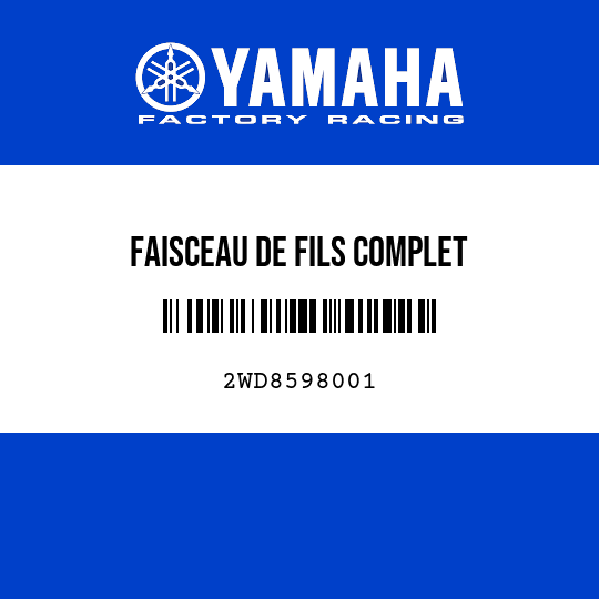 FAISCEAU DE FILS COMPLET