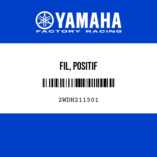 FIL, POSITIF