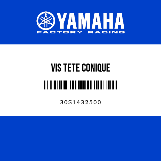 VIS TETE CONIQUE