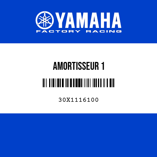 AMORTISSEUR 1