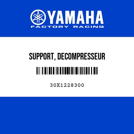 SUPPORT, DECOMPRESSEUR