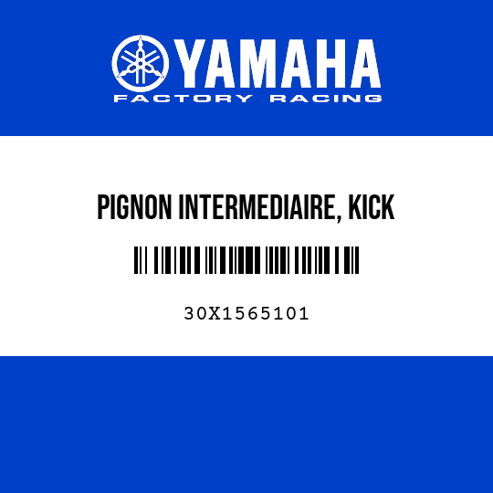 PIGNON INTERMEDIAIRE, KICK