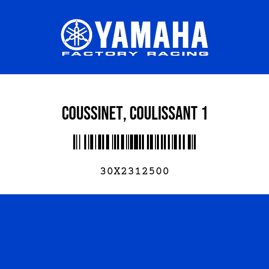 COUSSINET, COULISSANT 1