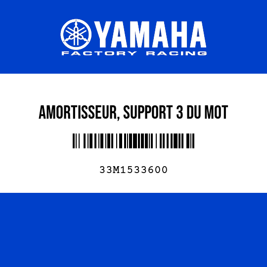 AMORTISSEUR, SUPPORT 3 DU MOT