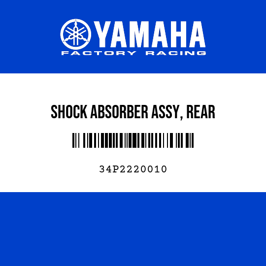 SHOCK ABSORBER ASSY, REAR