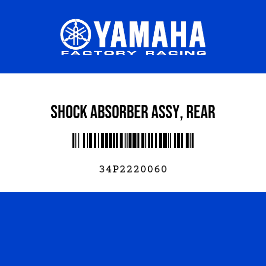 SHOCK ABSORBER ASSY, REAR