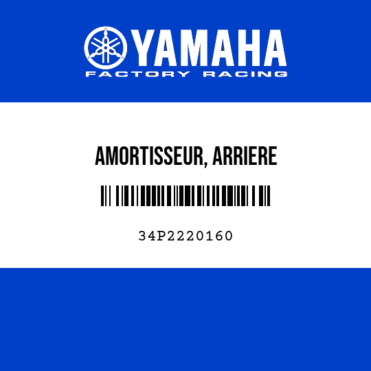 AMORTISSEUR, ARRIERE