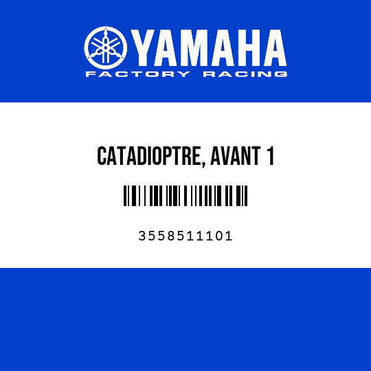CATADIOPTRE, AVANT 1