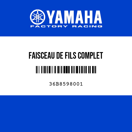 FAISCEAU DE FILS COMPLET