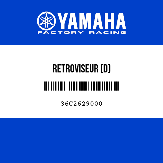 RETROVISEUR (D)