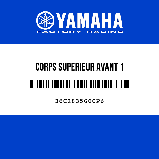 CORPS SUPERIEUR AVANT 1