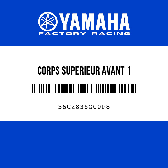 CORPS SUPERIEUR AVANT 1
