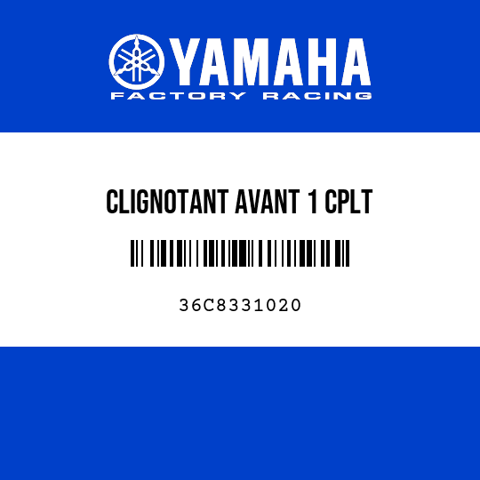 CLIGNOTANT AVANT 1 CPLT