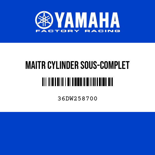 MAITR CYLINDER SOUS-COMPLET