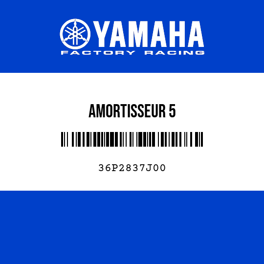 AMORTISSEUR 5