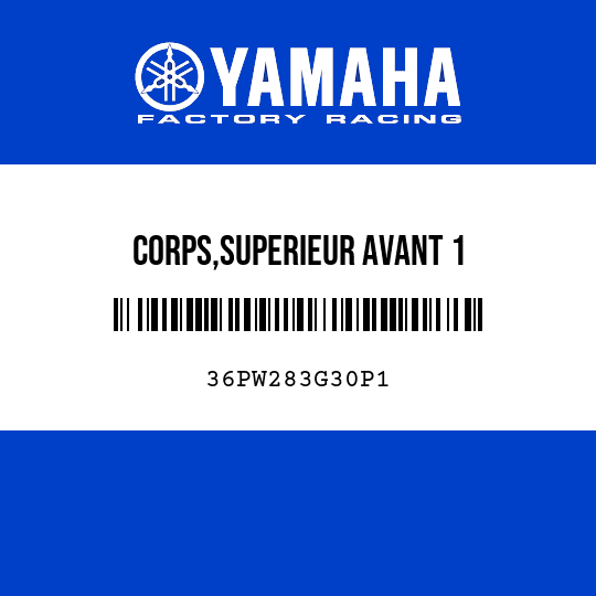 CORPS,SUPERIEUR AVANT 1