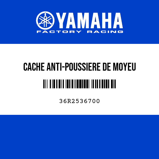 CACHE ANTI-POUSSIERE DE MOYEU