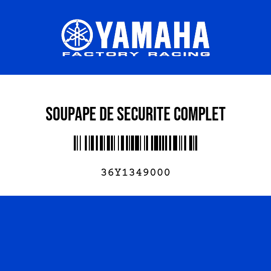 SOUPAPE DE SECURITE COMPLET