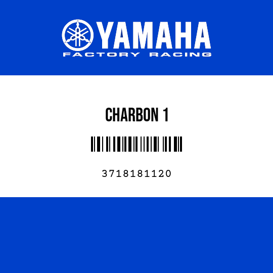 CHARBON 1