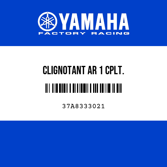CLIGNOTANT AR 1 CPLT.