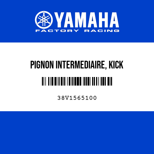 PIGNON INTERMEDIAIRE, KICK