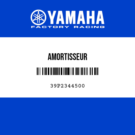 AMORTISSEUR