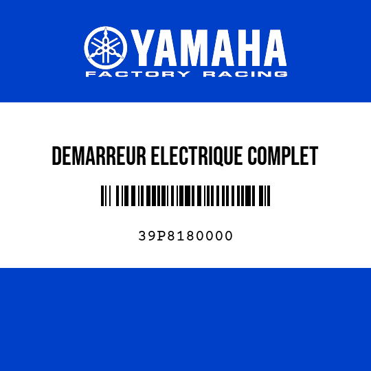 DEMARREUR ELECTRIQUE COMPLET