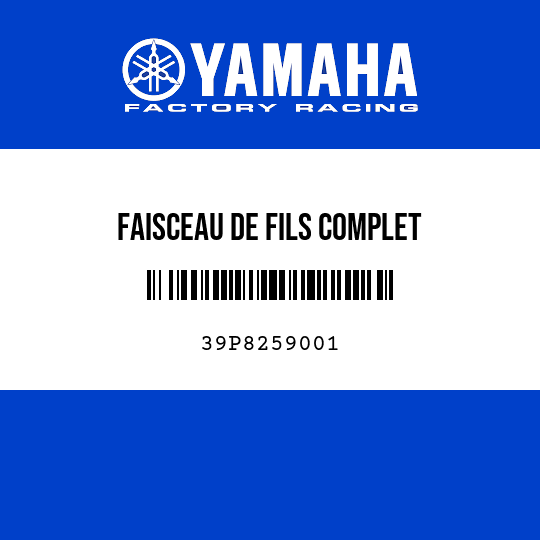 FAISCEAU DE FILS COMPLET