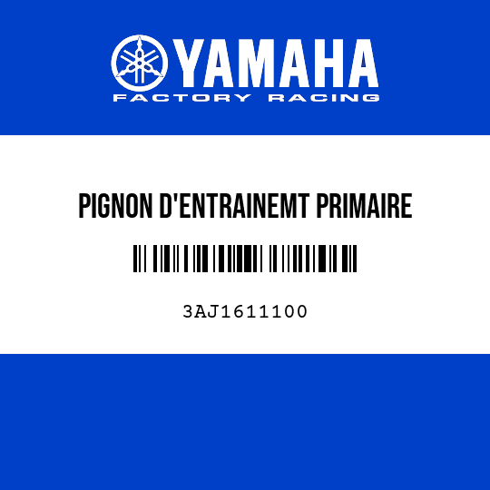 PIGNON D'ENTRAINEMT PRIMAIRE