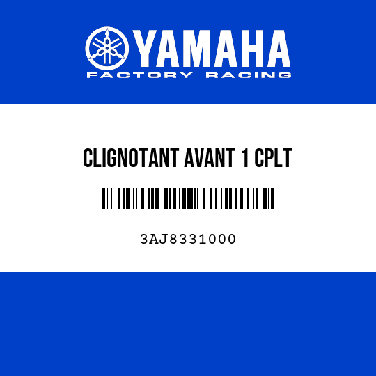 CLIGNOTANT AVANT 1 CPLT