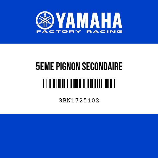 5EME PIGNON SECONDAIRE