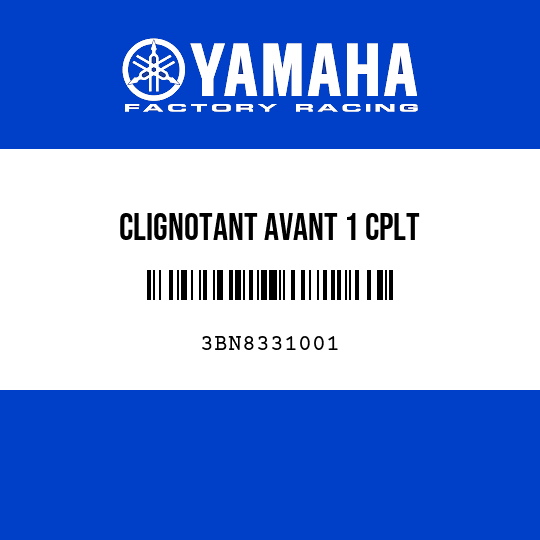 CLIGNOTANT AVANT 1 CPLT