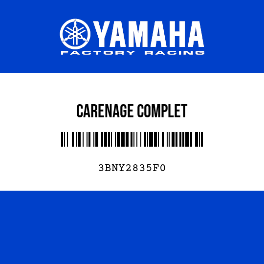 CARENAGE COMPLET