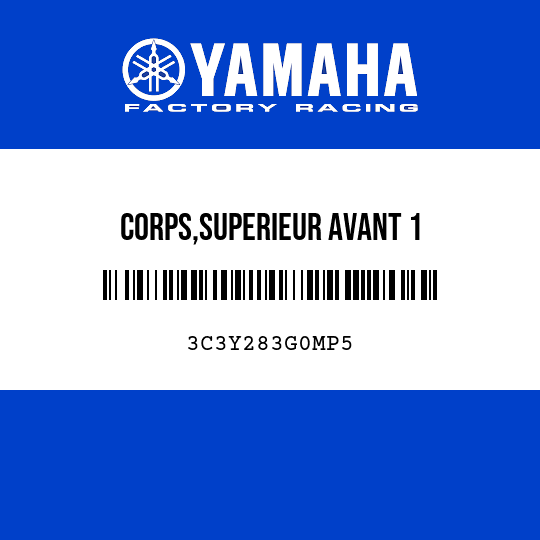CORPS,SUPERIEUR AVANT 1