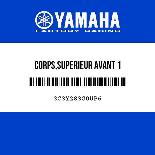 CORPS,SUPERIEUR AVANT 1