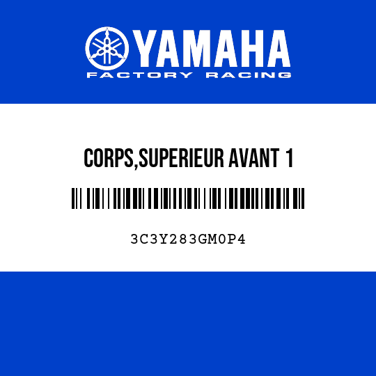 CORPS,SUPERIEUR AVANT 1
