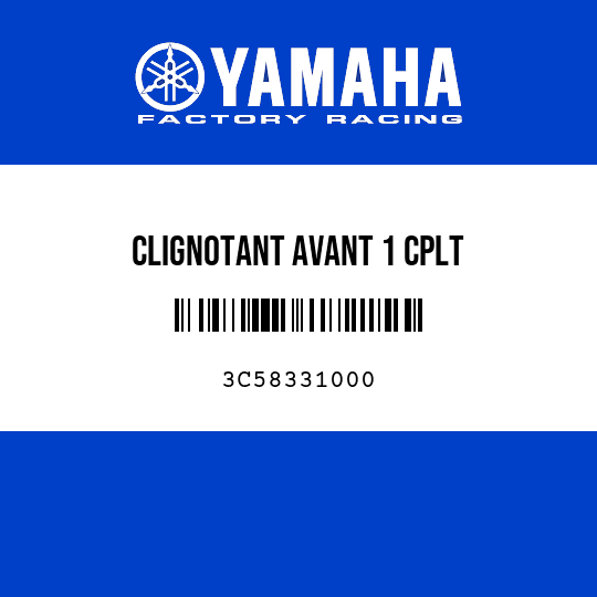 CLIGNOTANT AVANT 1 CPLT
