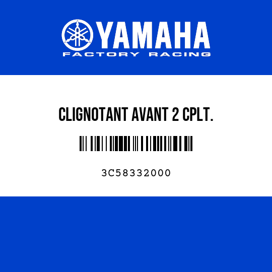 CLIGNOTANT AVANT 2 CPLT.
