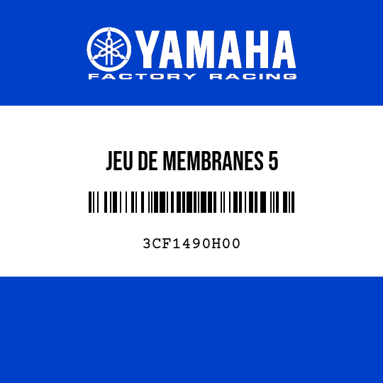 JEU DE MEMBRANES 5