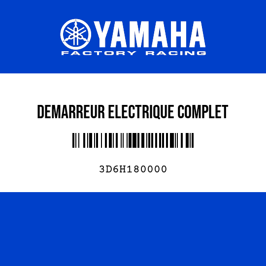 DEMARREUR ELECTRIQUE COMPLET
