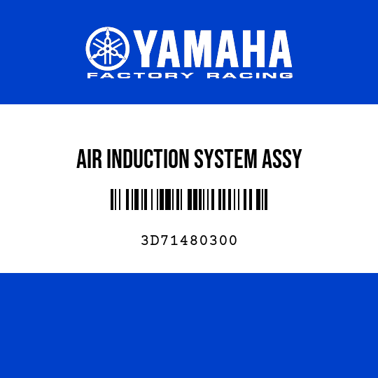 AIR INDUCTION SYSTEM ASSY