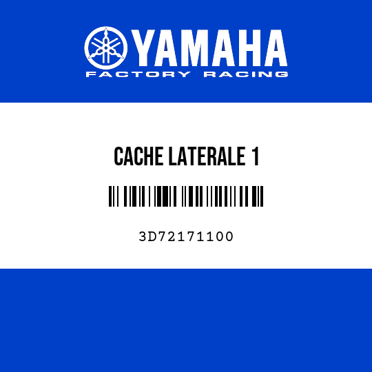 CACHE LATERALE 1