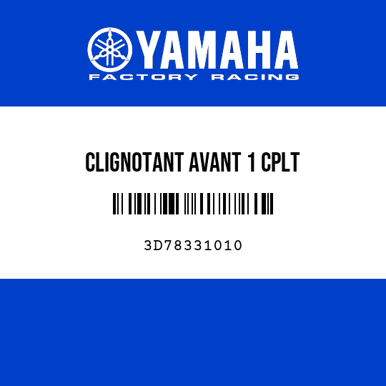 CLIGNOTANT AVANT 1 CPLT