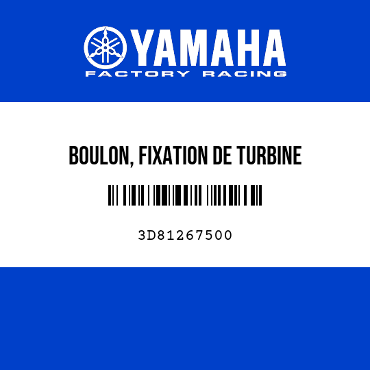 BOULON, FIXATION DE TURBINE