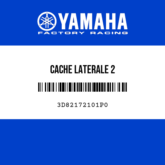 CACHE LATERALE 2