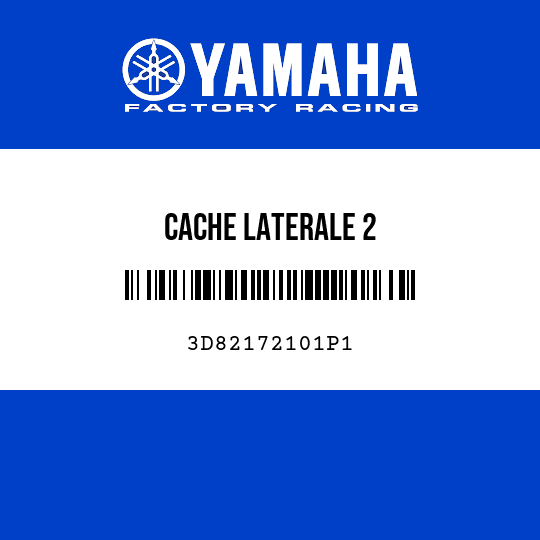 CACHE LATERALE 2