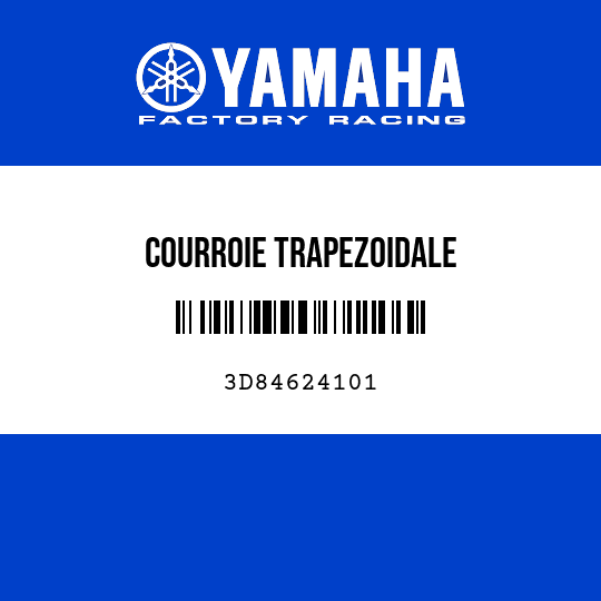 COURROIE TRAPEZOIDALE