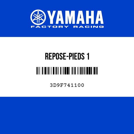 REPOSE-PIEDS 1