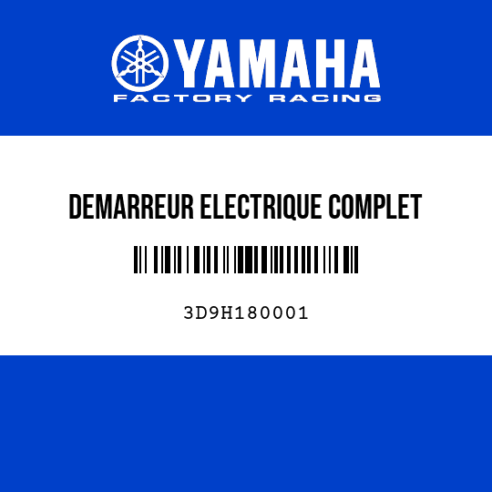 DEMARREUR ELECTRIQUE COMPLET