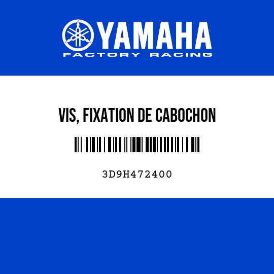 VIS, FIXATION DE CABOCHON
